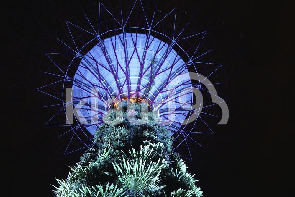 Close up of trunk of supertree in Singapore