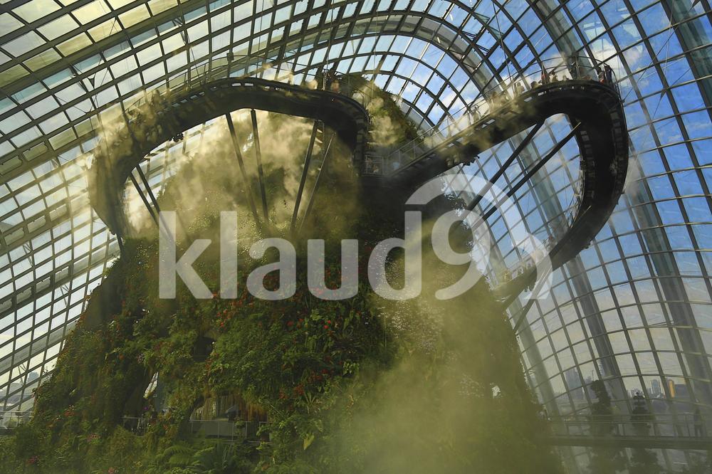Gardens by the bay flower dome