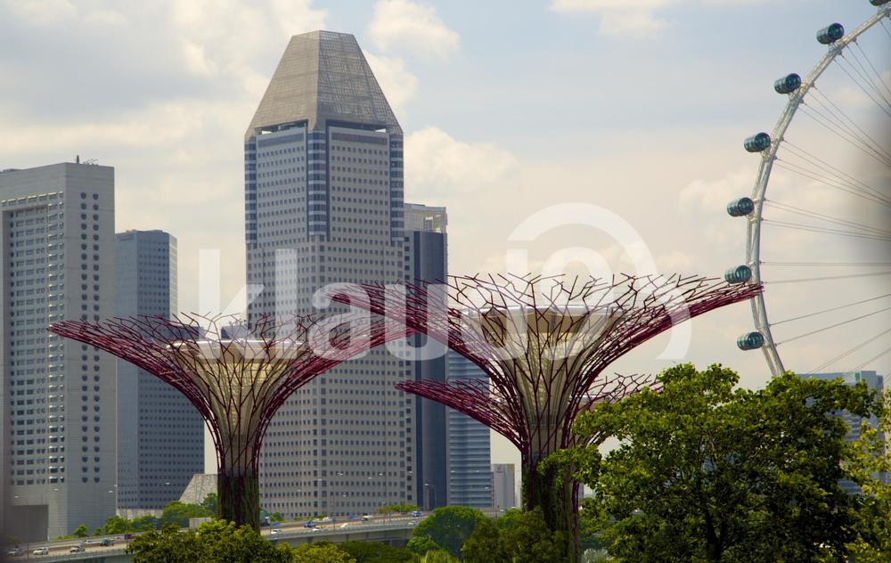 supertree with buildings in background