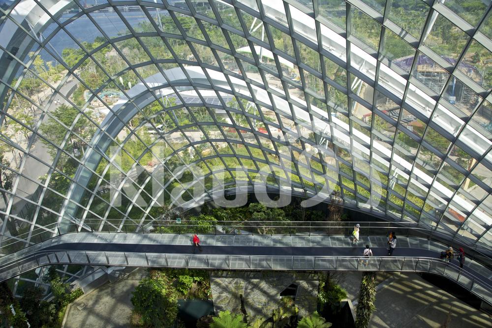 Top floor of flower dome Gardens by the Bay