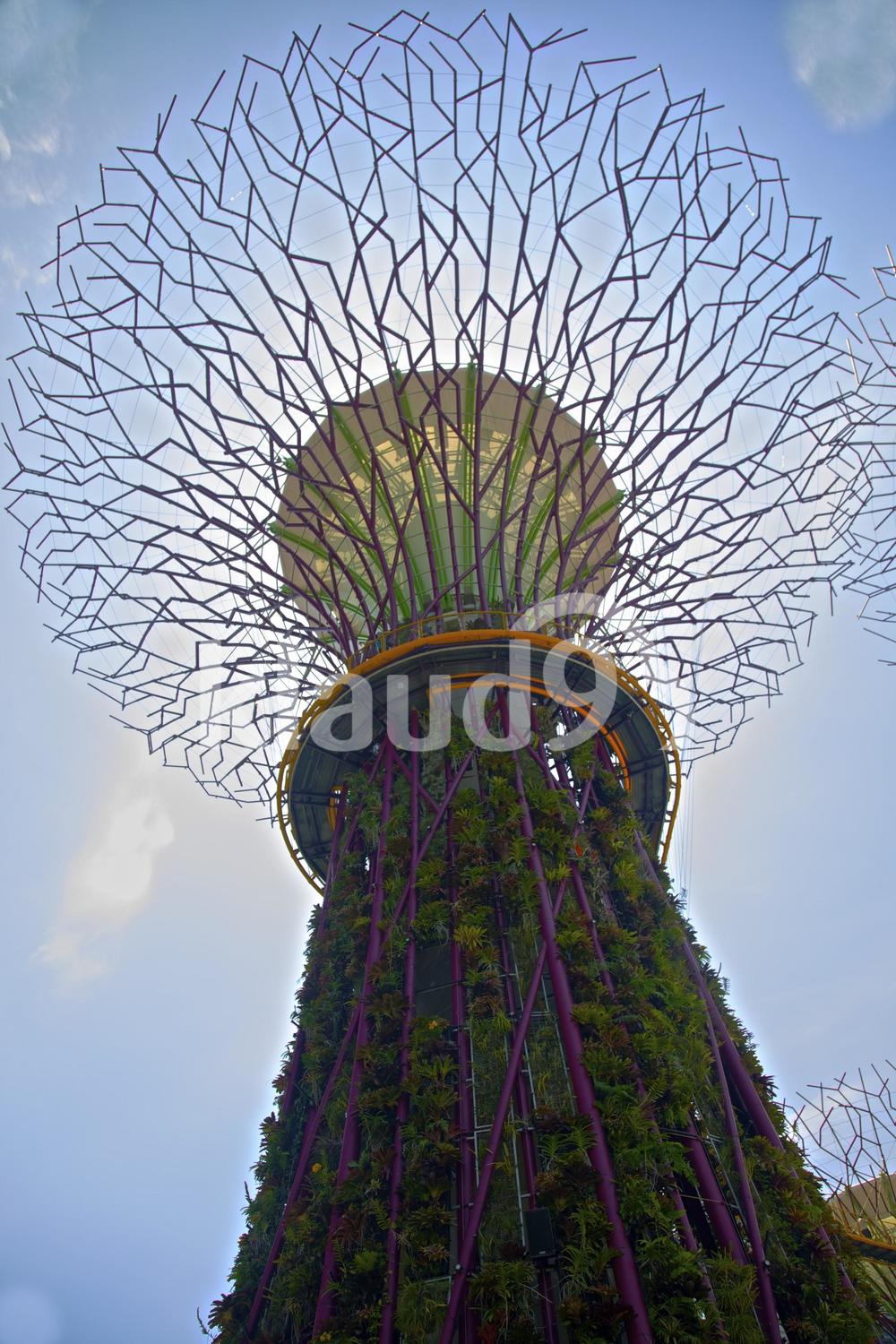 View of supertrees with buildings in background