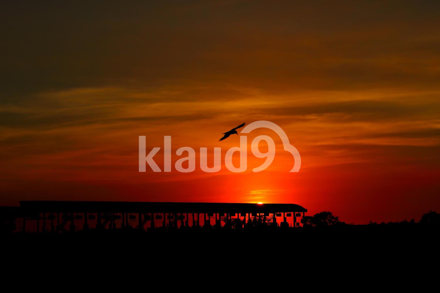 Dusk 