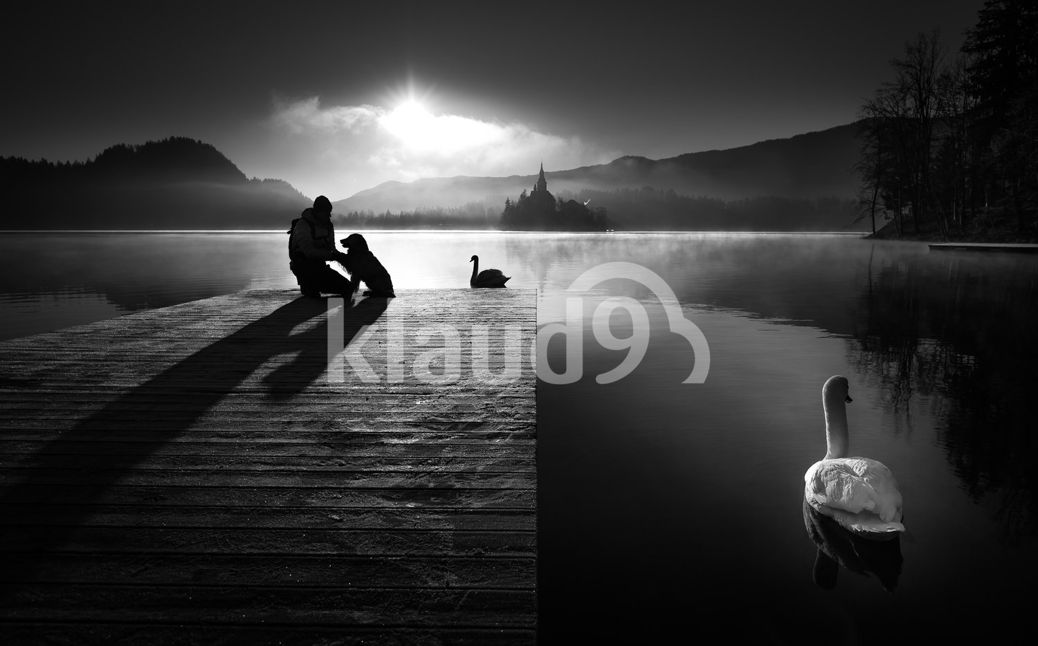 A peaceful morning at the lake