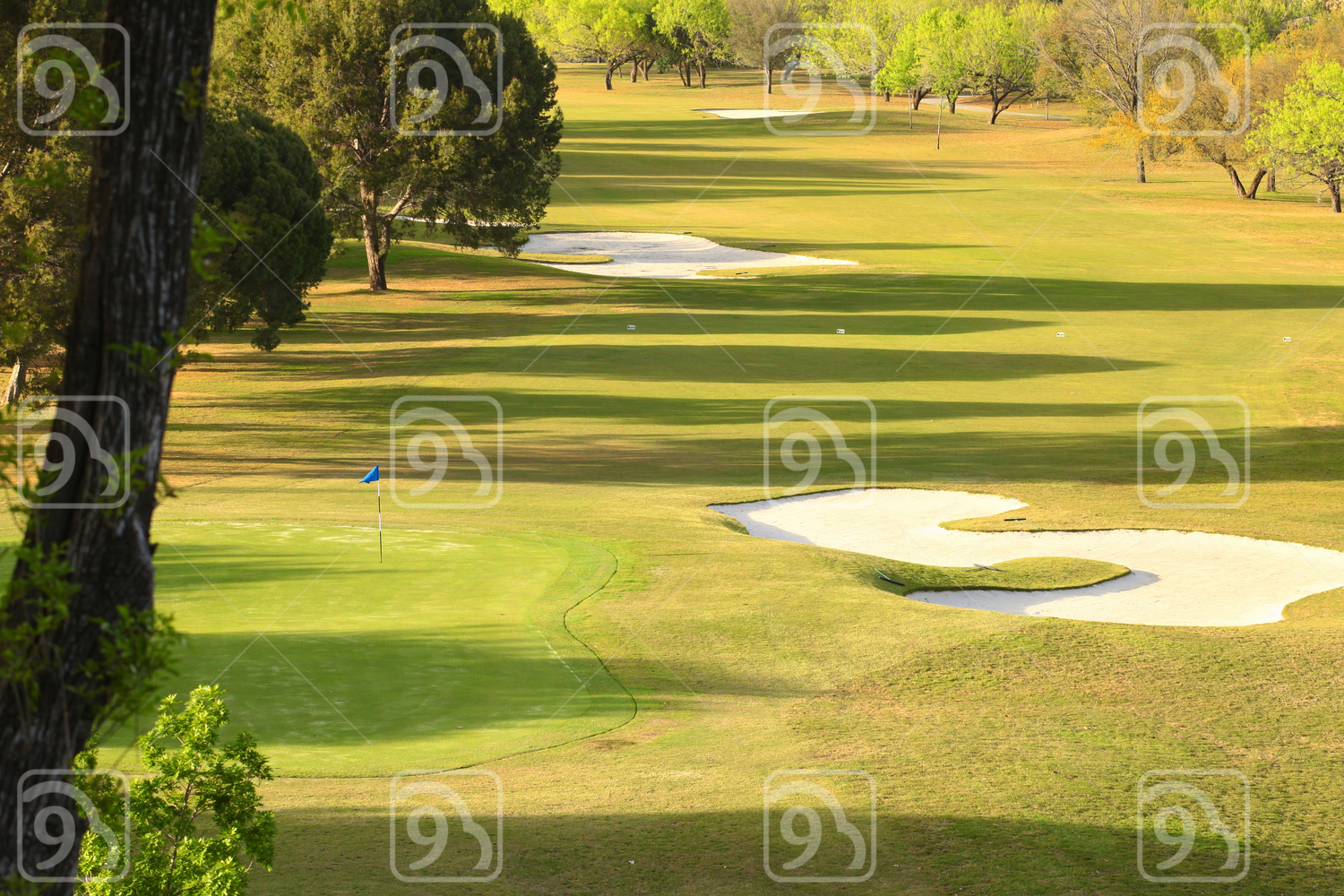 Golf Court 