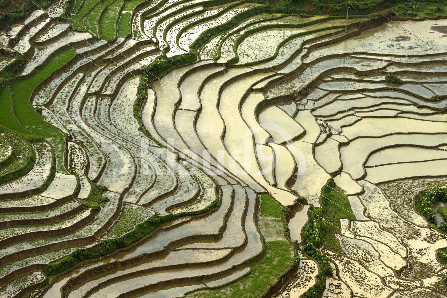 Bird's-eye view of the rice terraces in rainy season sapa District, Lao Cai Province, Northwest Vietnam.