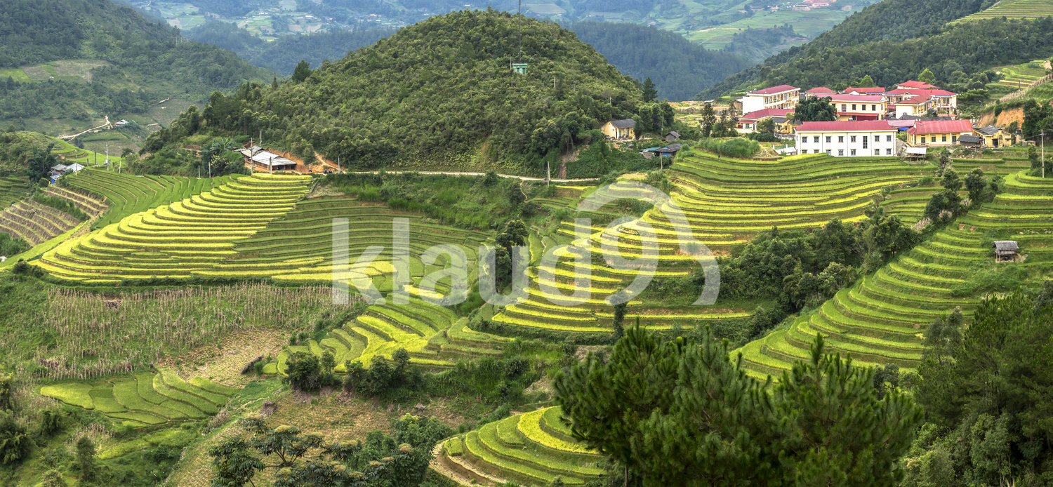 Beautiful landscape with rice terraces, Yenbai ,Vietnam.