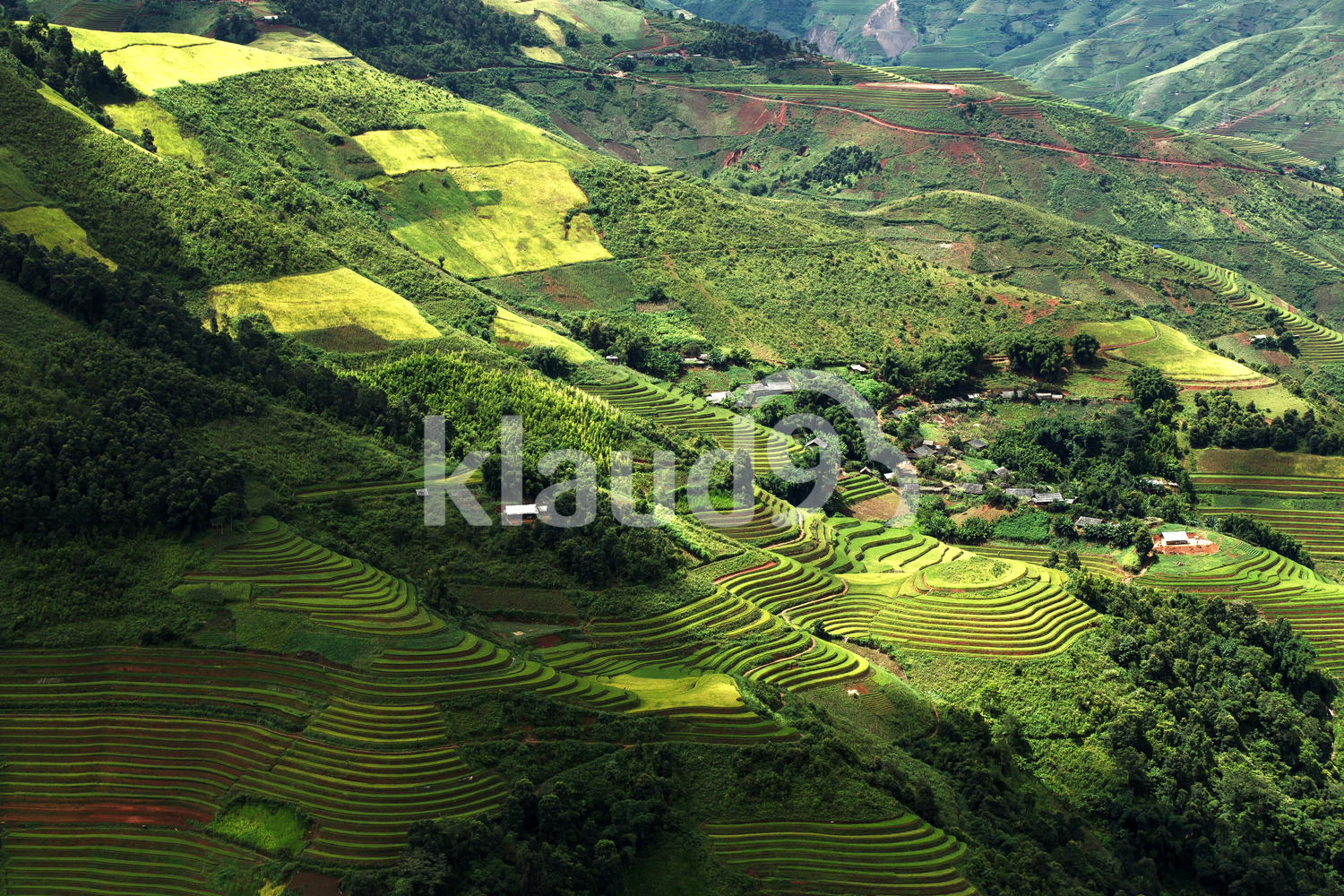 Aerial view of gorgeous rice terraces in Mu Cang Chai, YenBai, Vietnam.