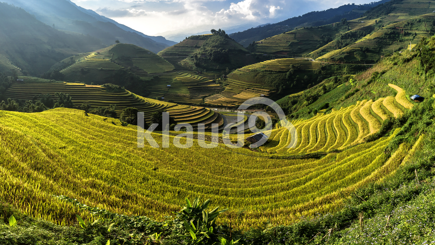 Wide angle view of Rice fields on Mu Cang Chai, YenBai, Vietnam. Rice fields prepare the harvest at Northwest Vietnam