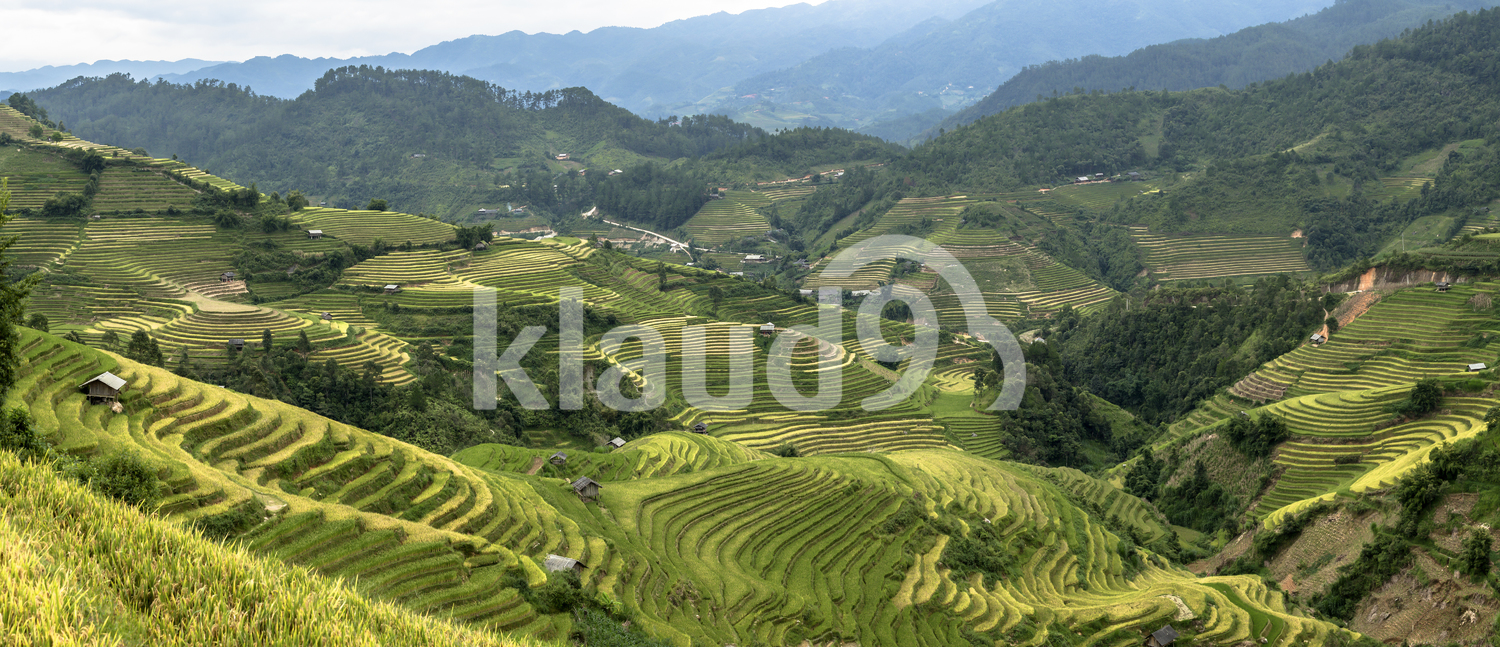 Beautiful landscape about rice terraces,Yenbai,Vietnam.