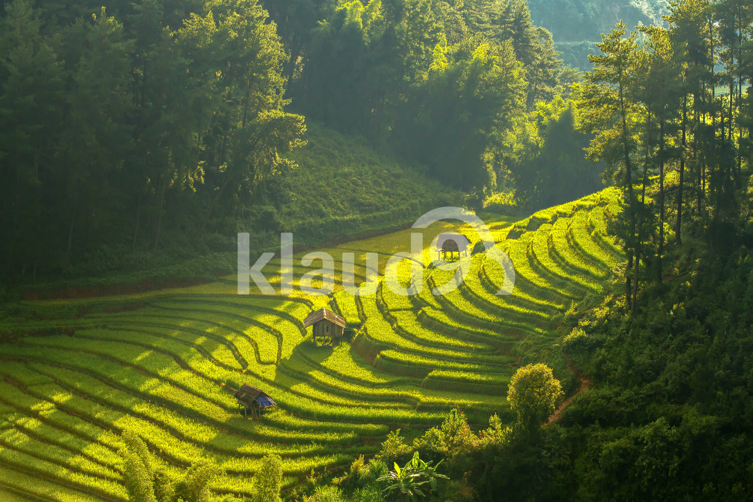 Top view of Rice terraced fields on Mu Cang Chai District, YenBai province, Northwest Vietnam