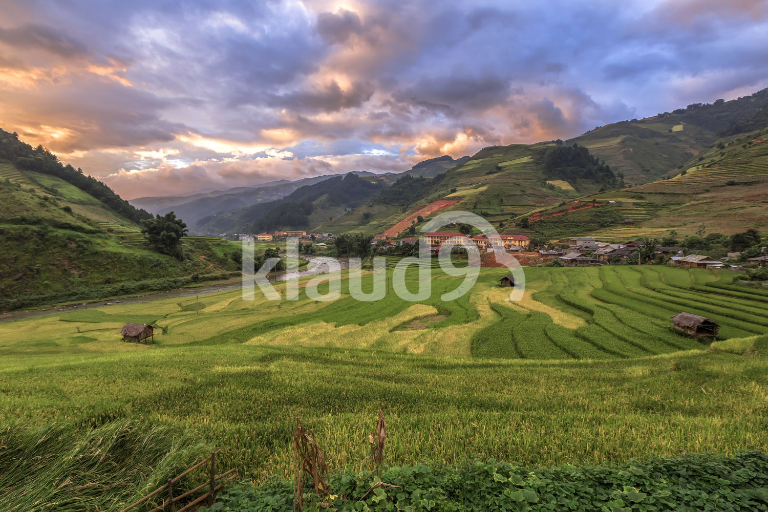 Terraced Rice fields at sunset ,Mu Cang Chai, YenBai, Vietnam.