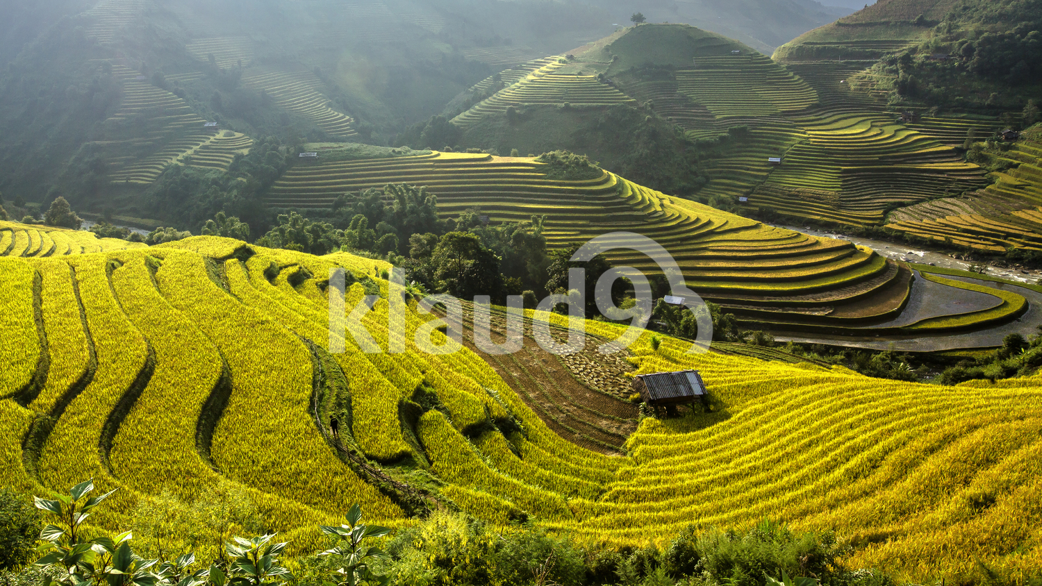 Beautiful terrace Rice fields of Mu Cang Chai, YenBai, Vietnam. Rice fields prepare the harvest at Northwest Vietnam