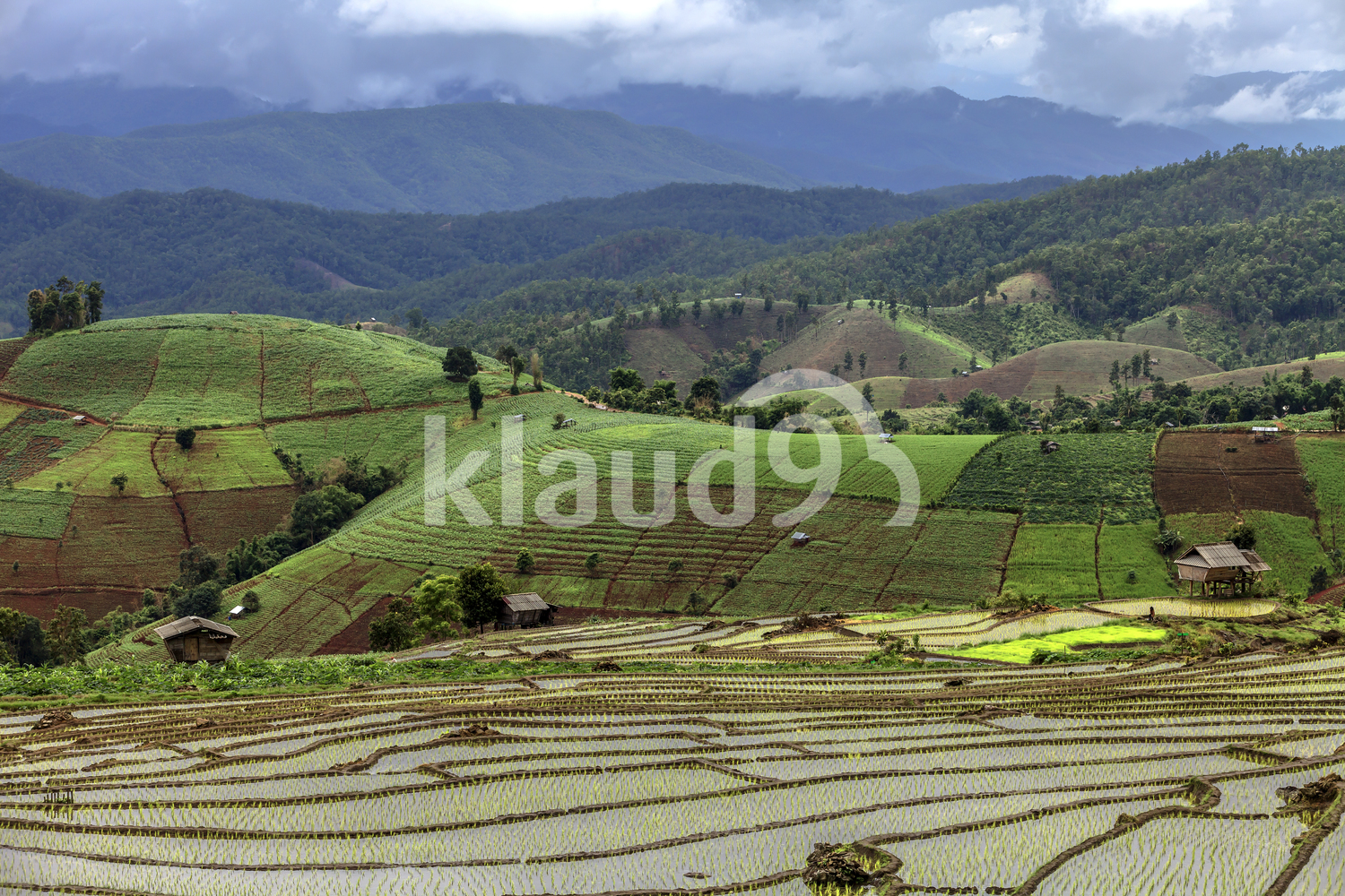 Beautiful steps of rice terraces in Chiangmai, Thailand