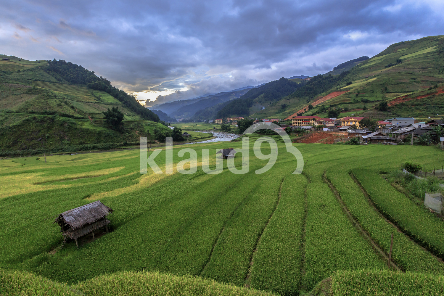 Terraced rice fields of Mu Cang Chai, YenBai, Vietnam