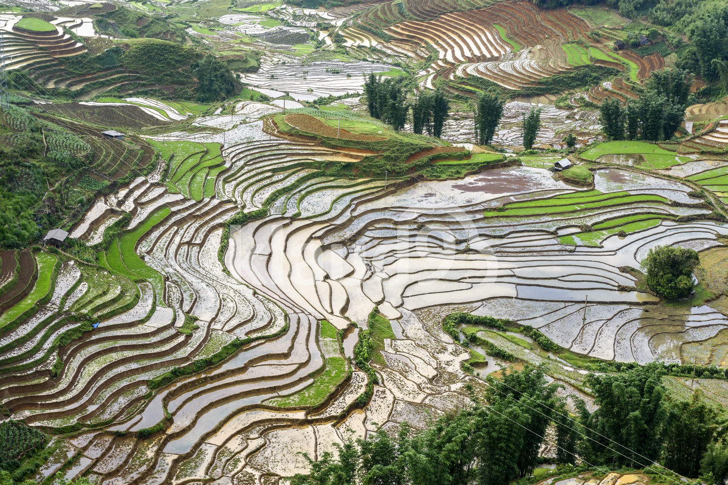 Bird's-eye view of the rice terraces in rainy season sapa District, Lao Cai Province, Northwest Vietnam.