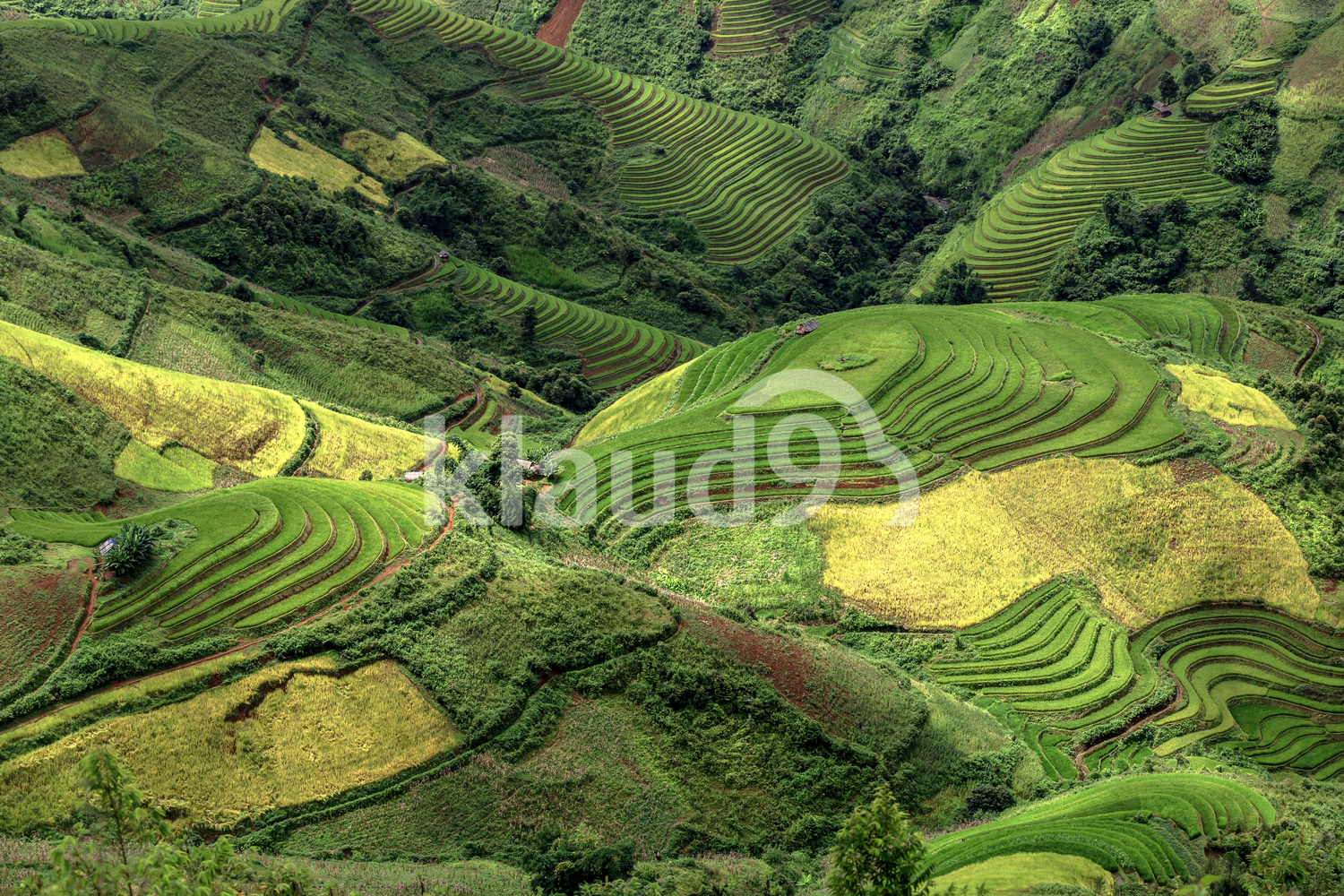 Dynamic aerial view of Mu Cang Chai, YenBai, Vietnam. 