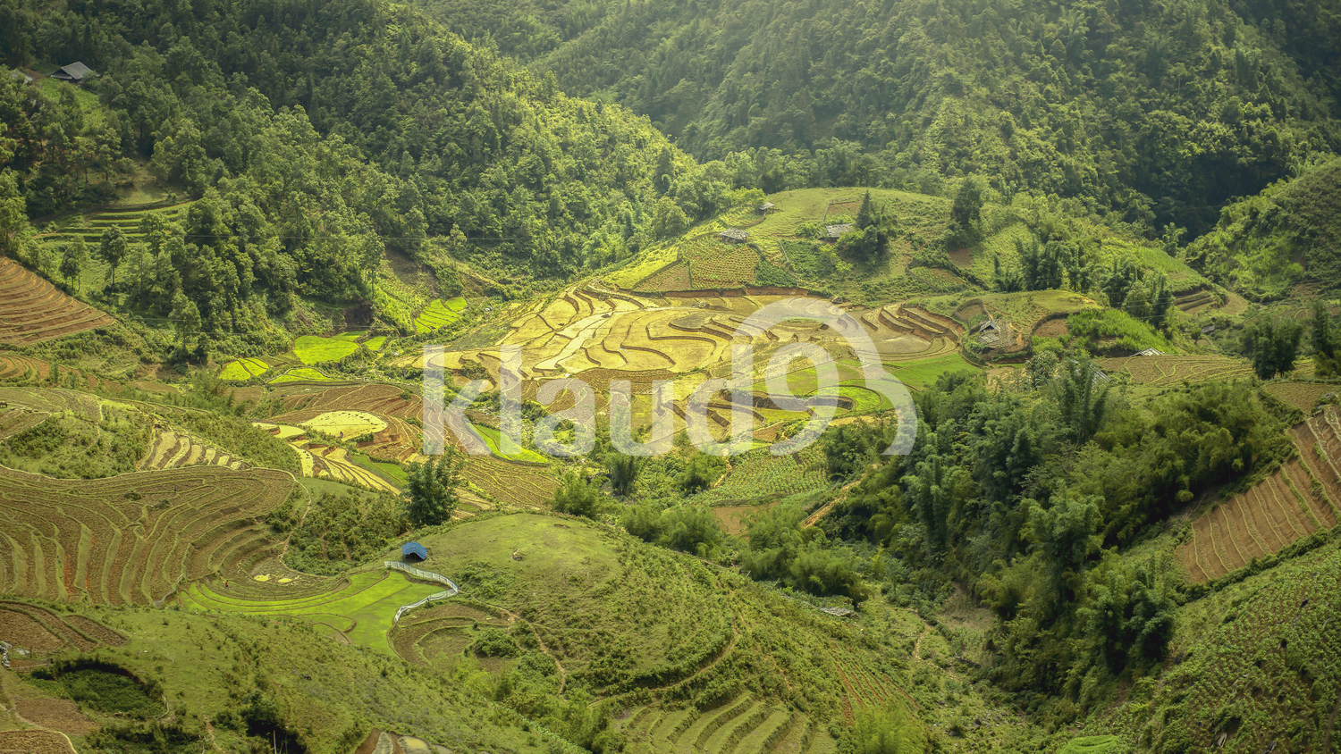 Rice terraces in Asia, mu cang chai,Vietnam