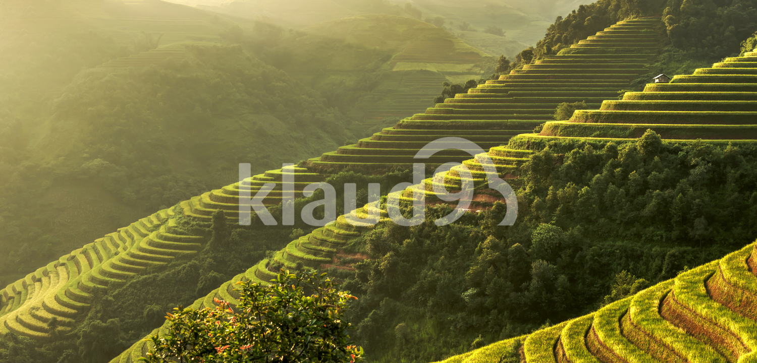 Beautiful Rice Terraces, South East Asia,Yenbai,Vietnam