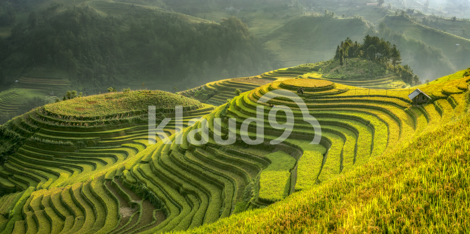 Rice Terraces at Mu cang chai,Yenbai,Vietnam.