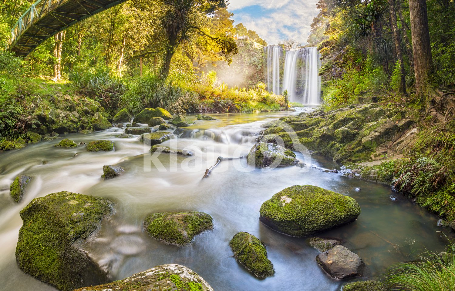 Whangeria Falls Northland New Zealand