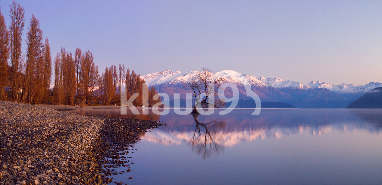 Lake Wanaka at Dawn