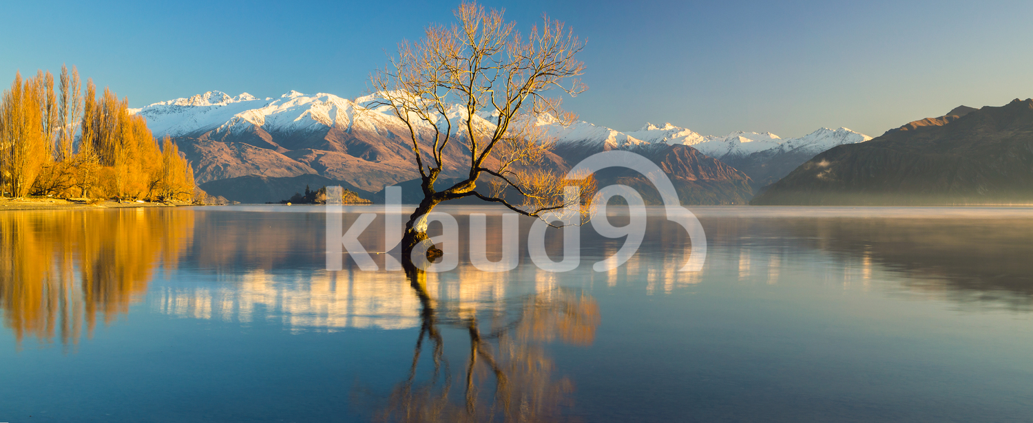 Lake Wanaka at Dawn