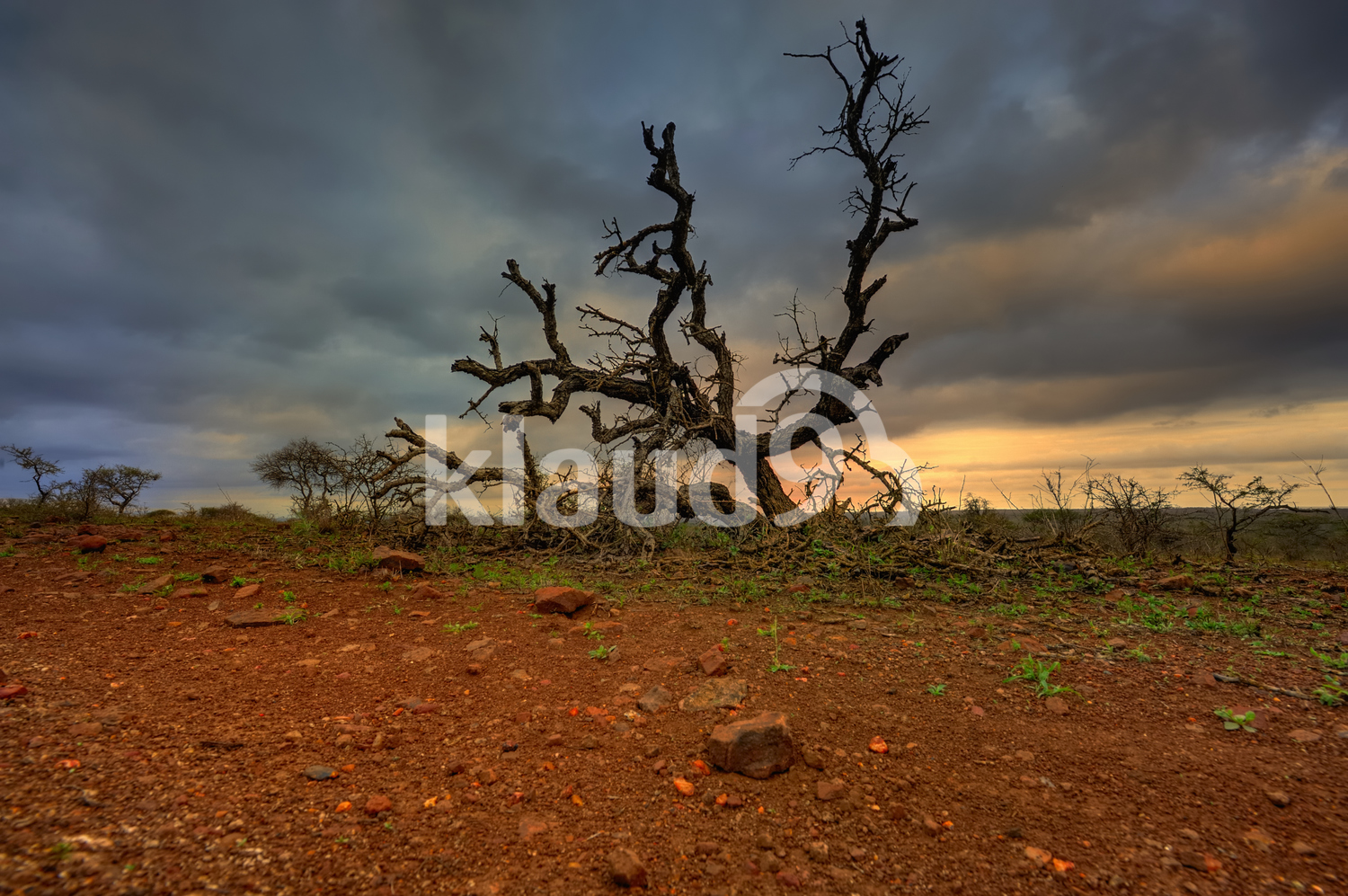 Beautiful South Africa