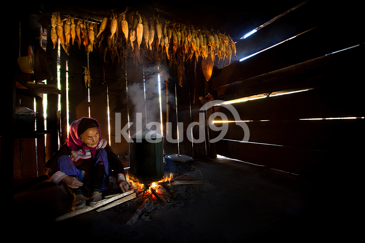 Vietnamese woman cooking