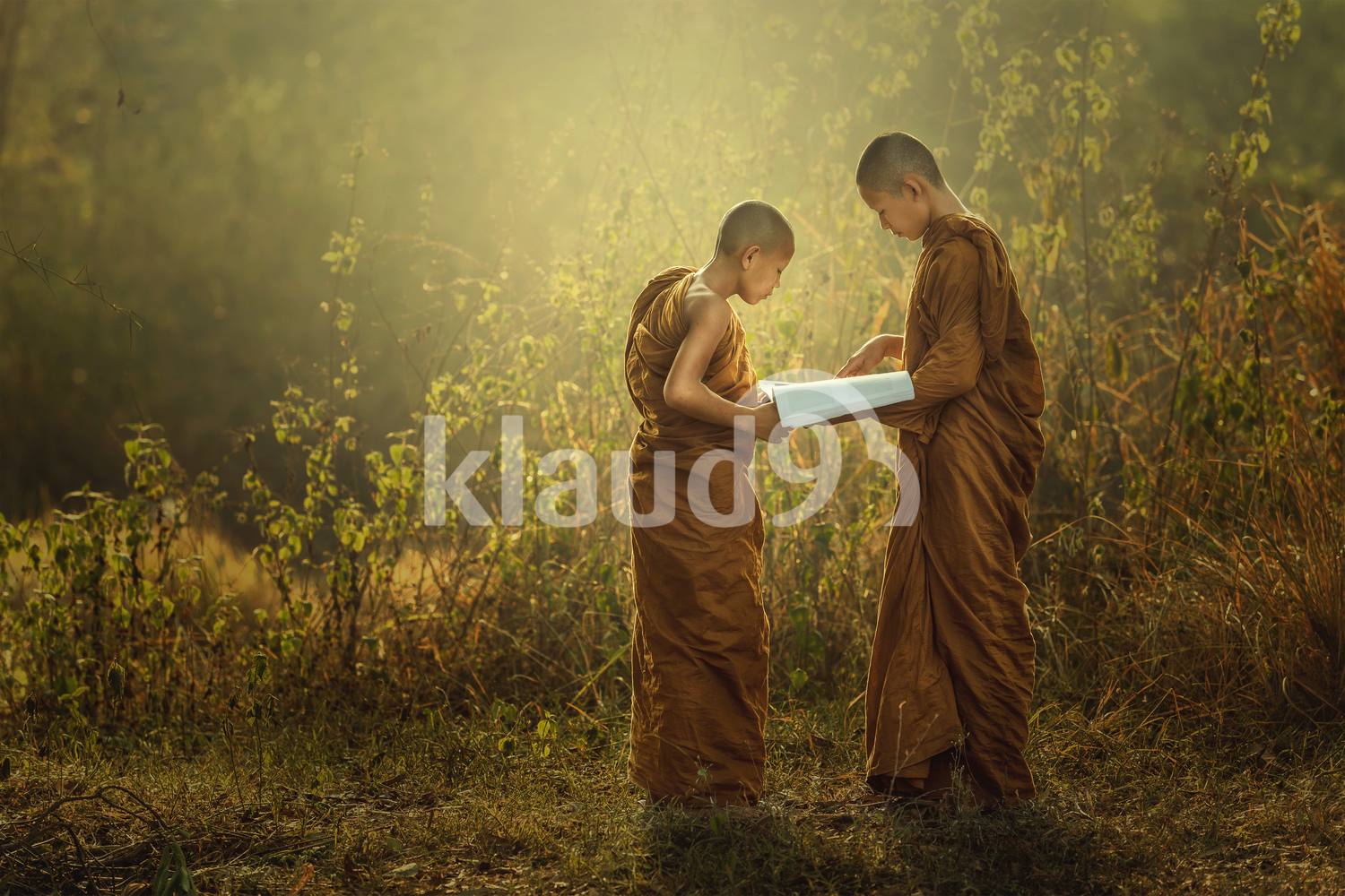 Young Monks