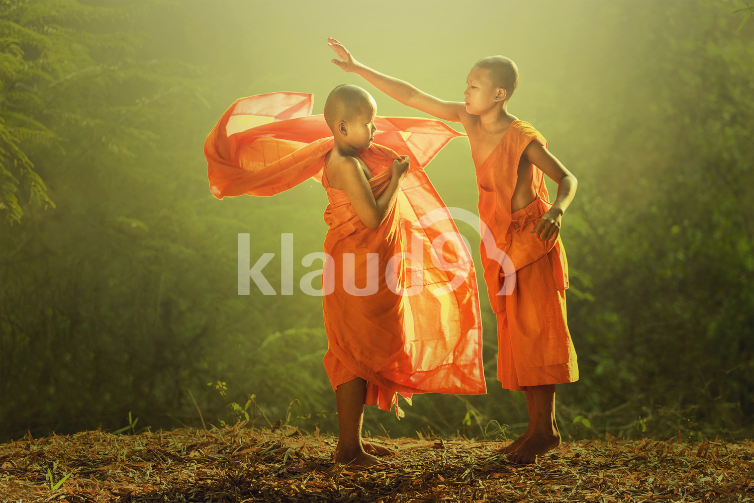 Young monks in the forest