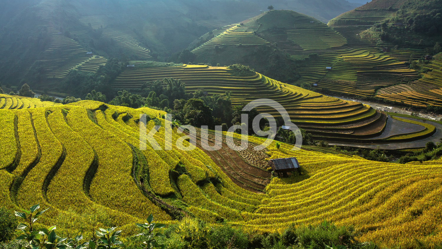 Rice fields in Mu Cang Chai, Vietnam