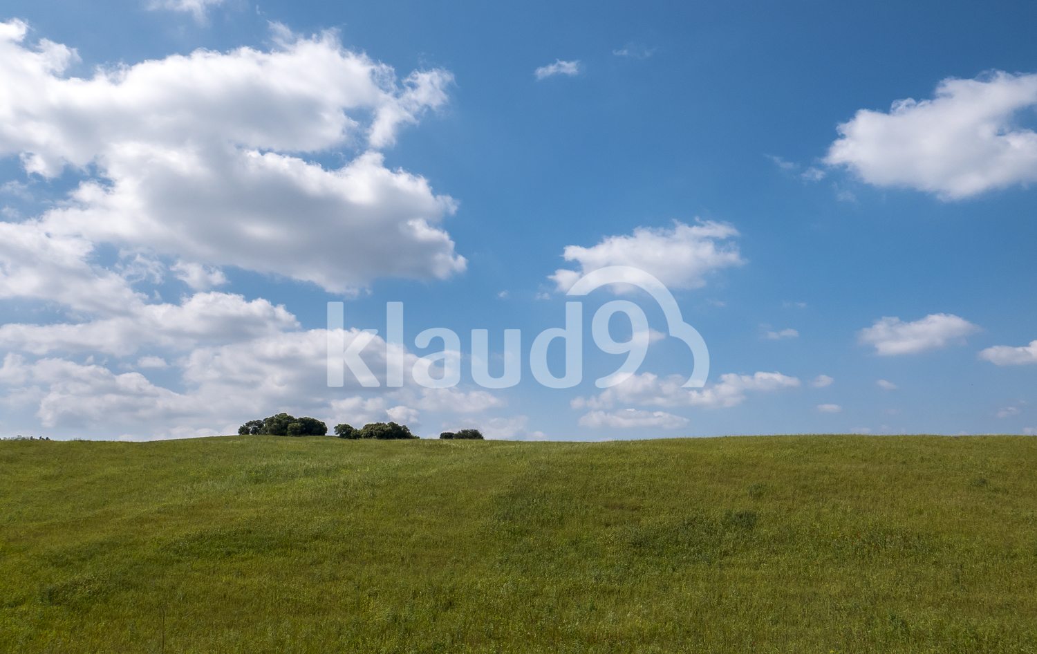 Beautiful blue landscape
