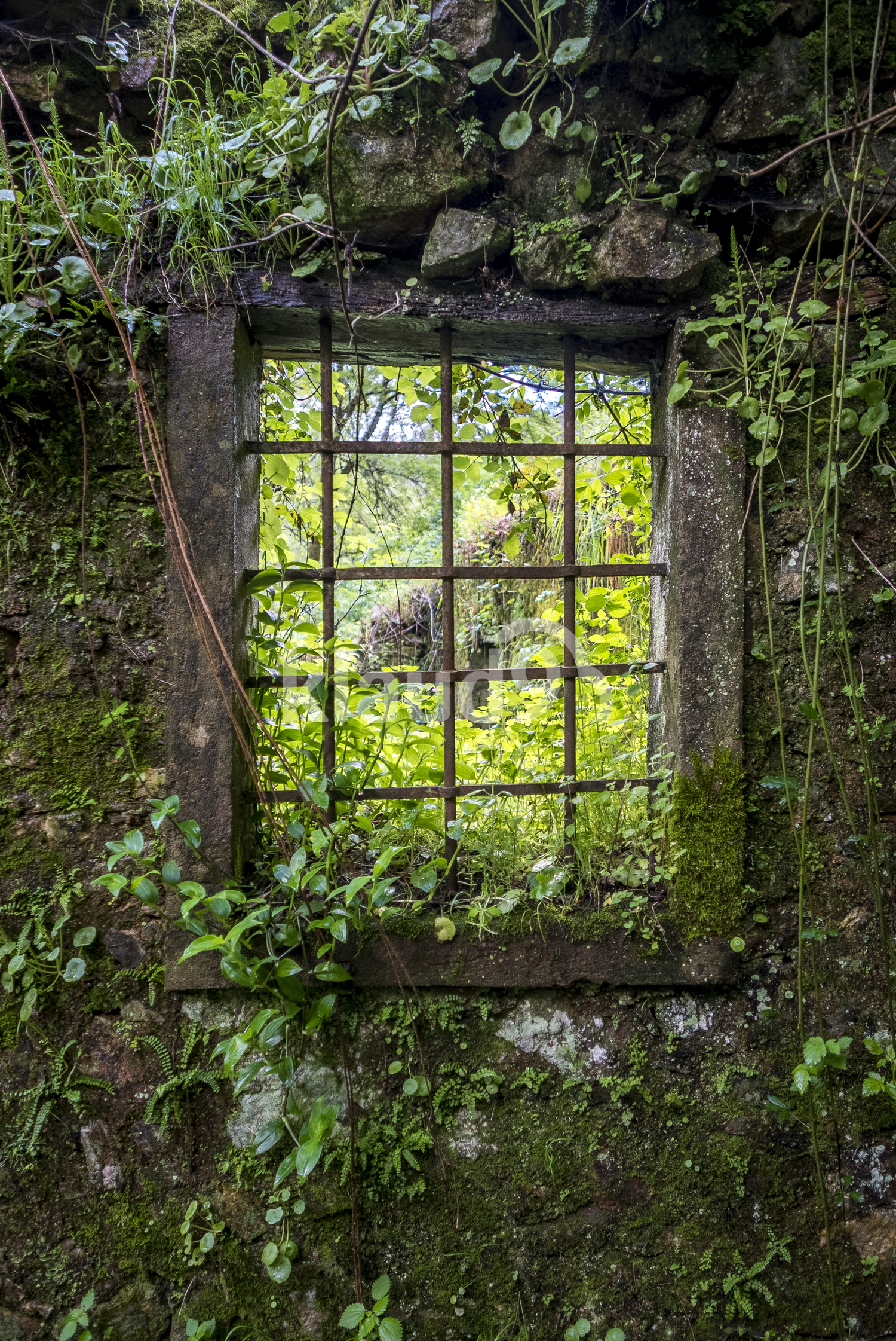 Old window frames