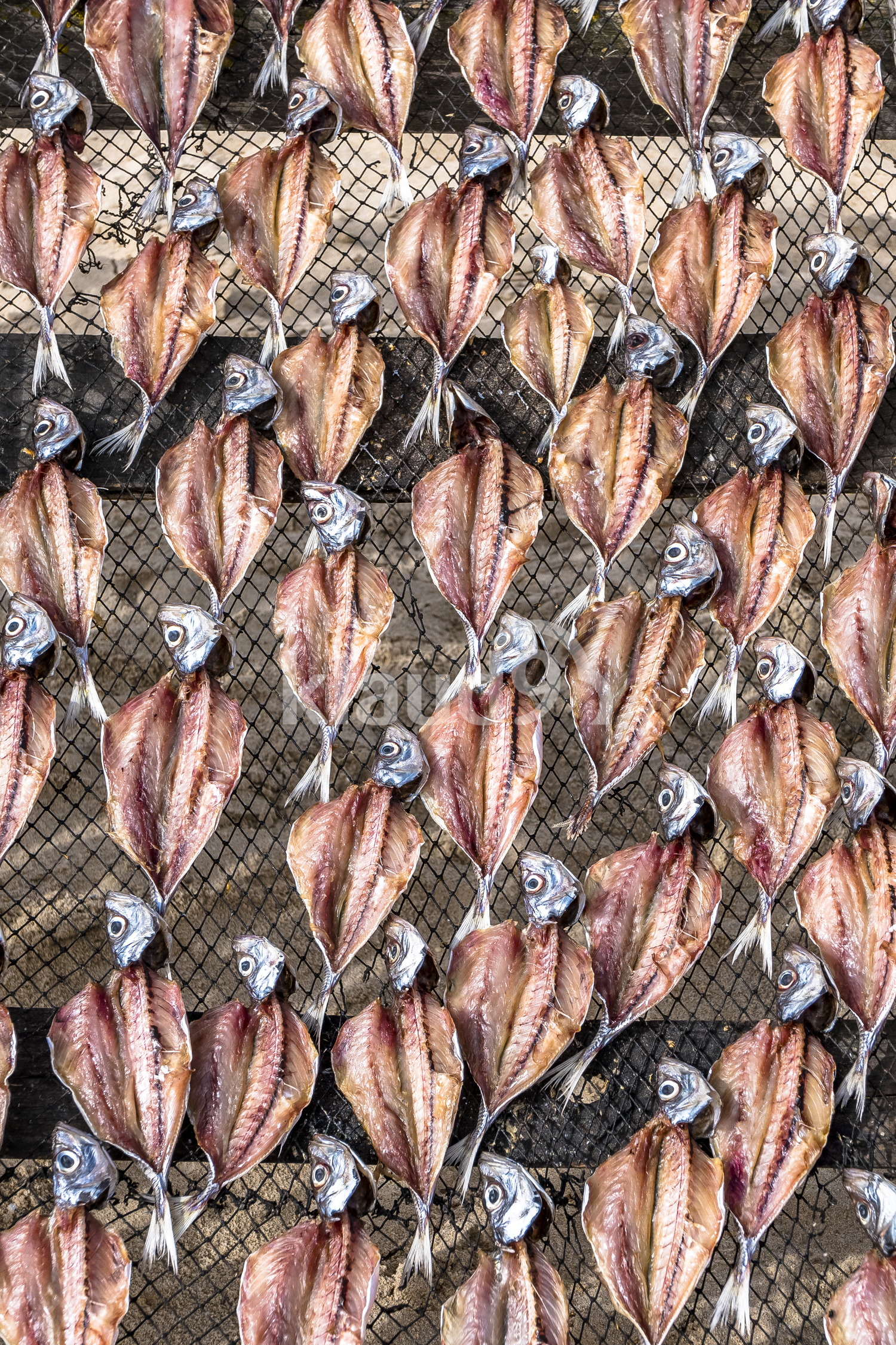 Dry Fish