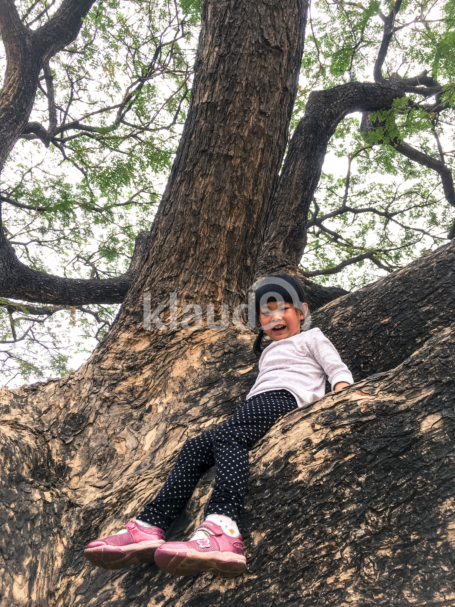 Young girl climbing a tree
