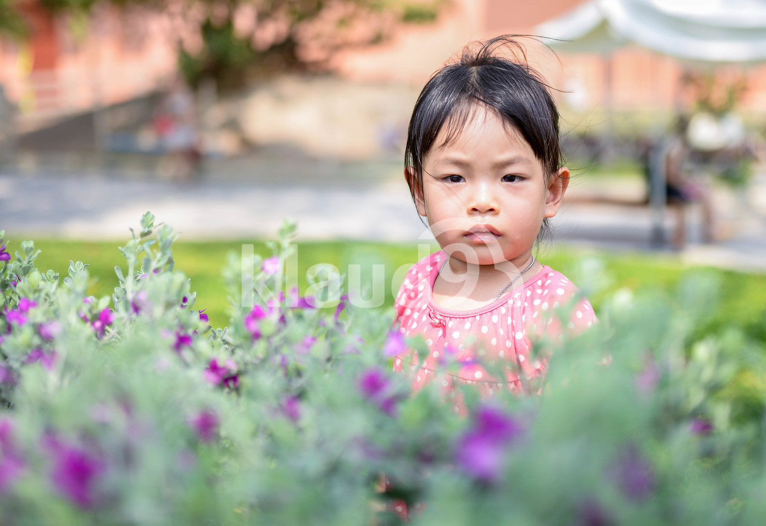 Asian toddler in a park