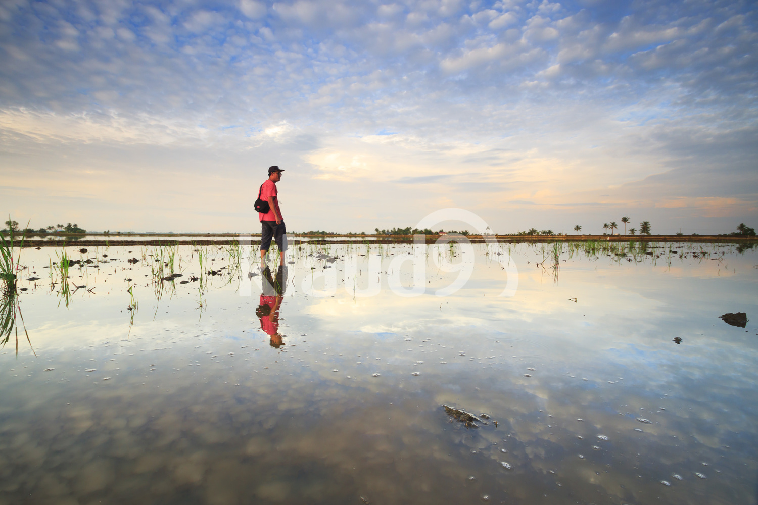 Walking on the water