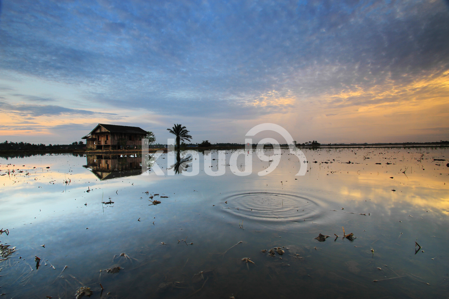 Reflection with a ripple