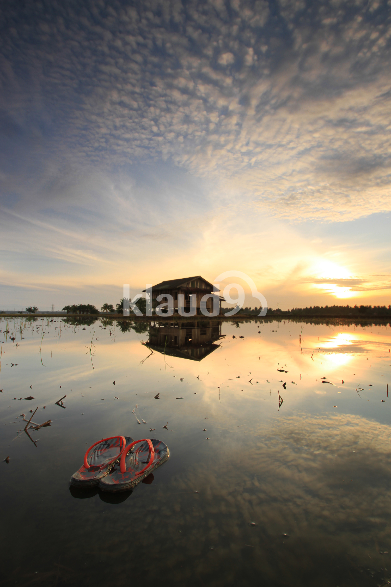 Slippers left behind in the wetlands