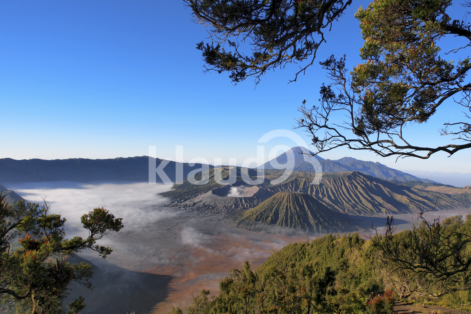 Mount Bromo in a Beautiful Morning