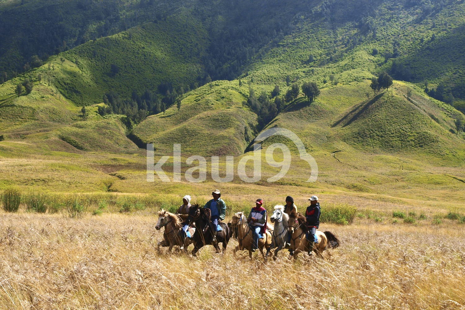 Beautiful Savana in Bromo Tengger Semeru Park