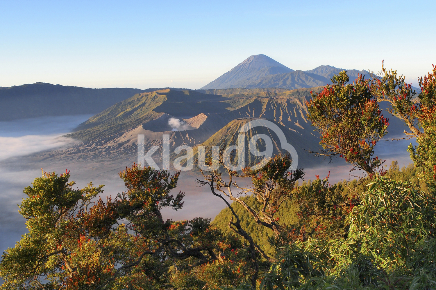 Mount Bromo in a Beautiful Morning