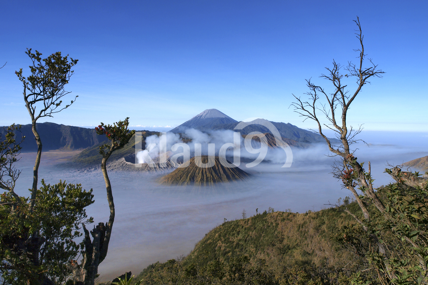 Mount Bromo
