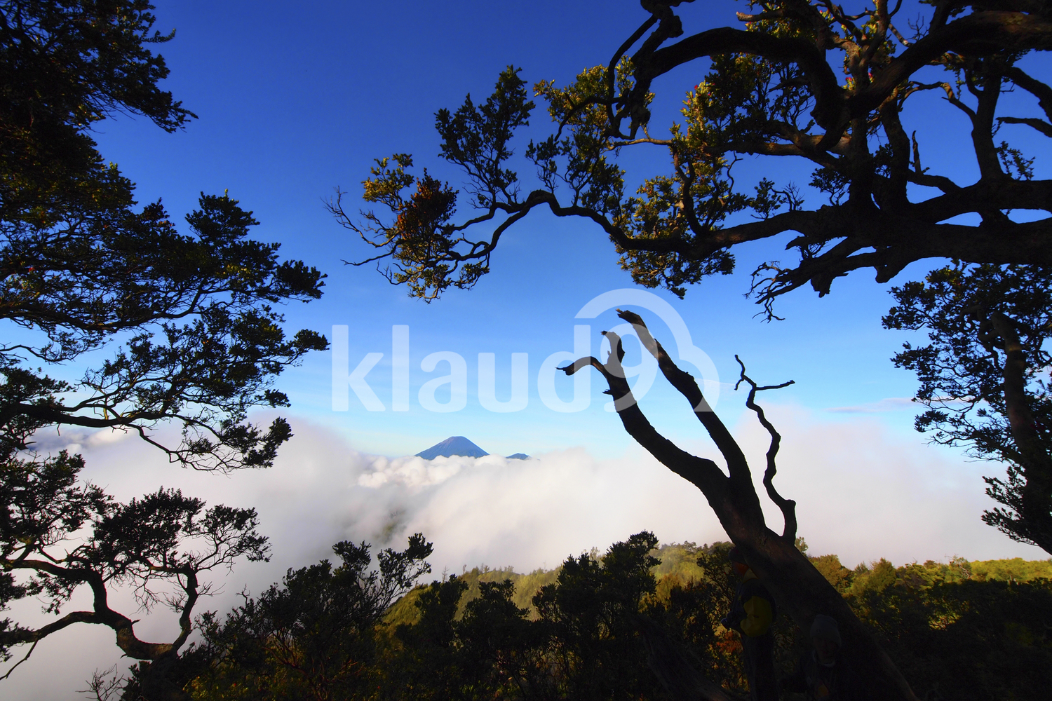 Mount Semeru