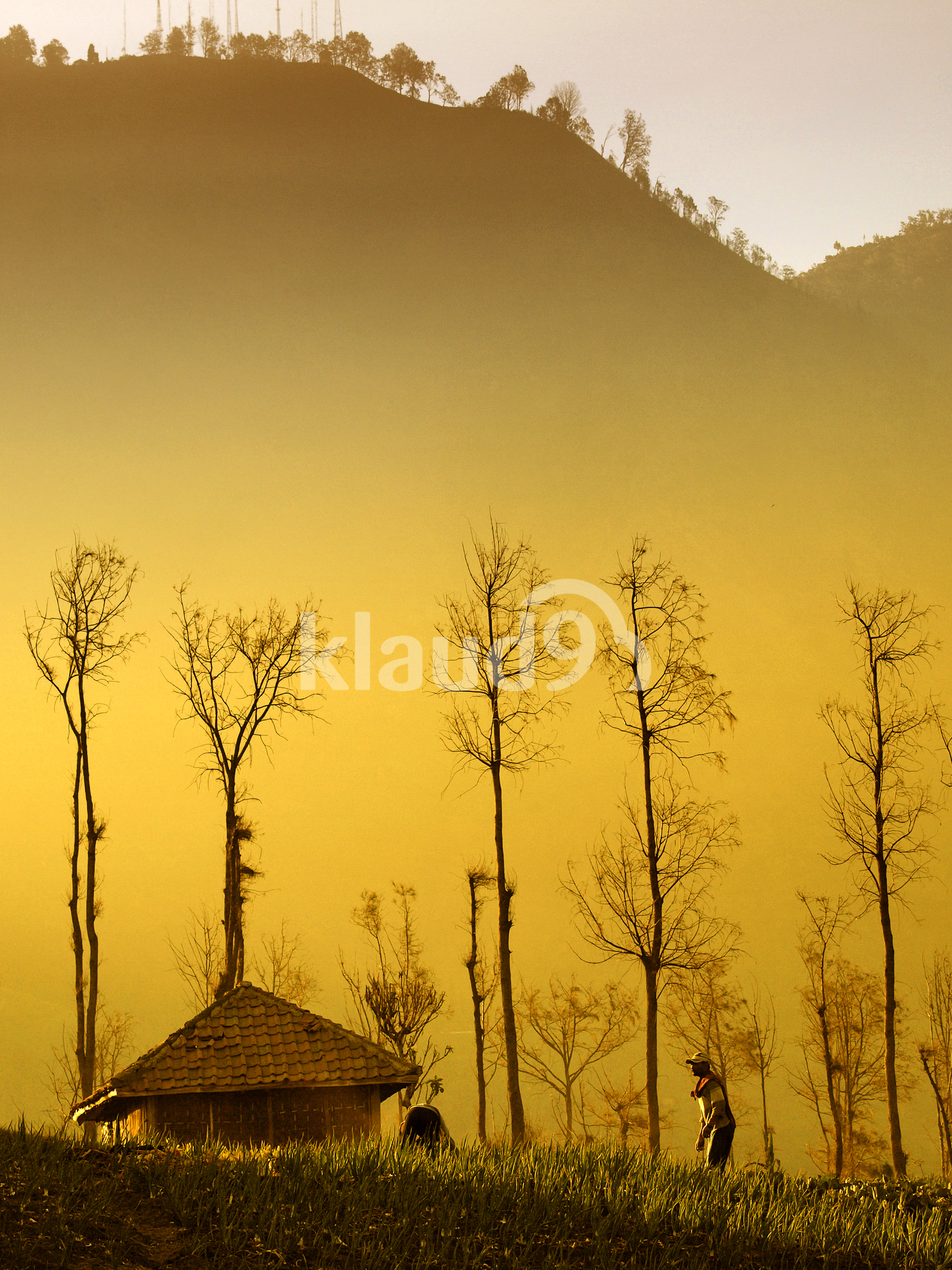 Sunset at Ngadisari Village - Bromo