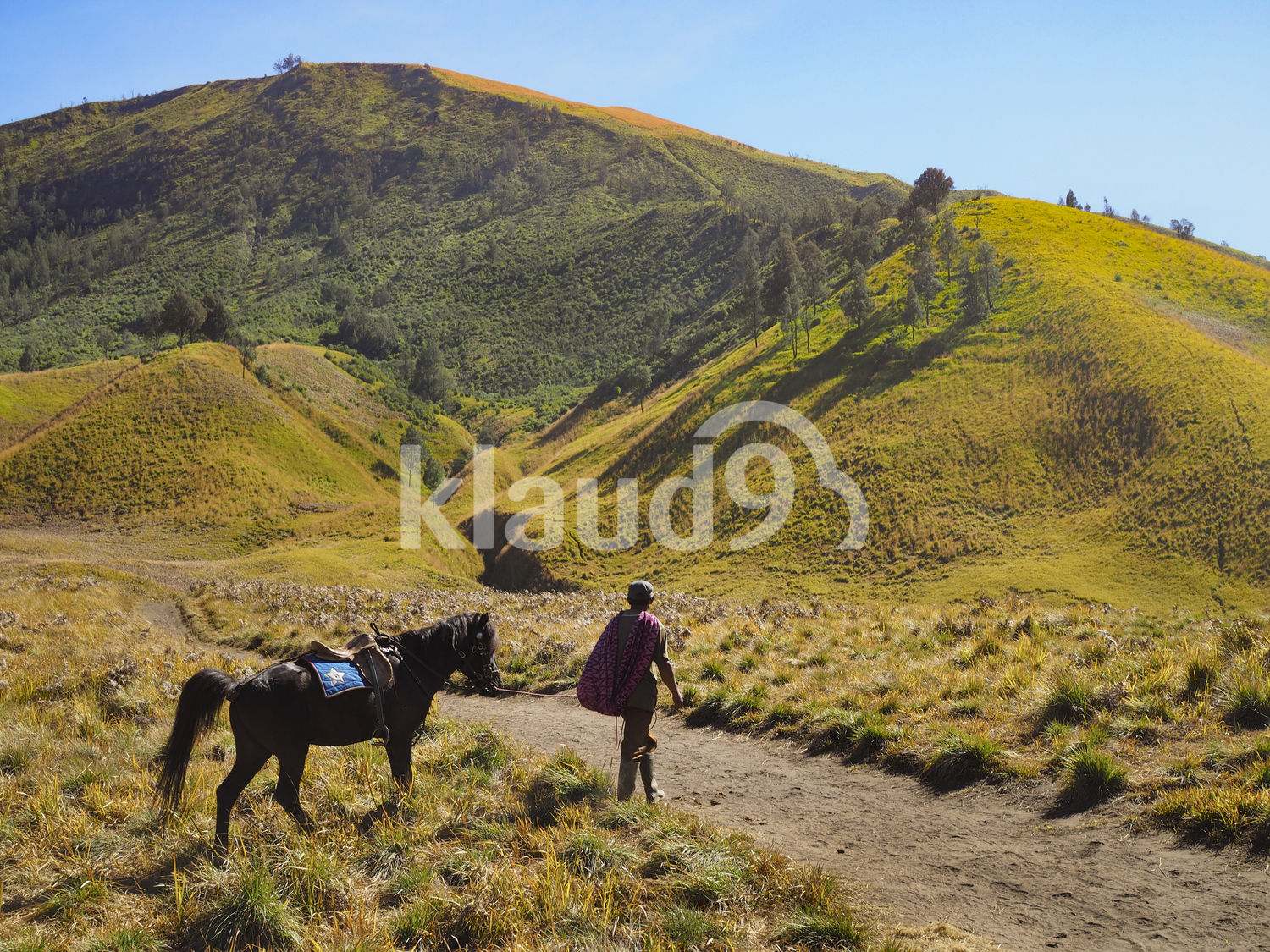 Teletubies Hill in Bromo