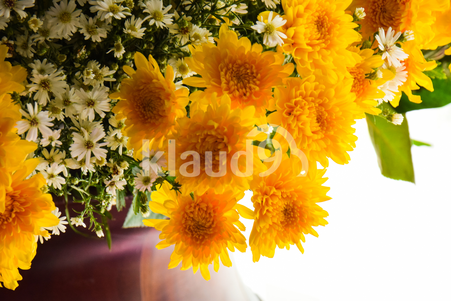 Assortment of Chrysanthemums