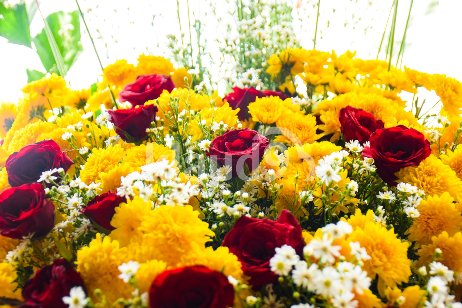Beautiful arrangement of flowers