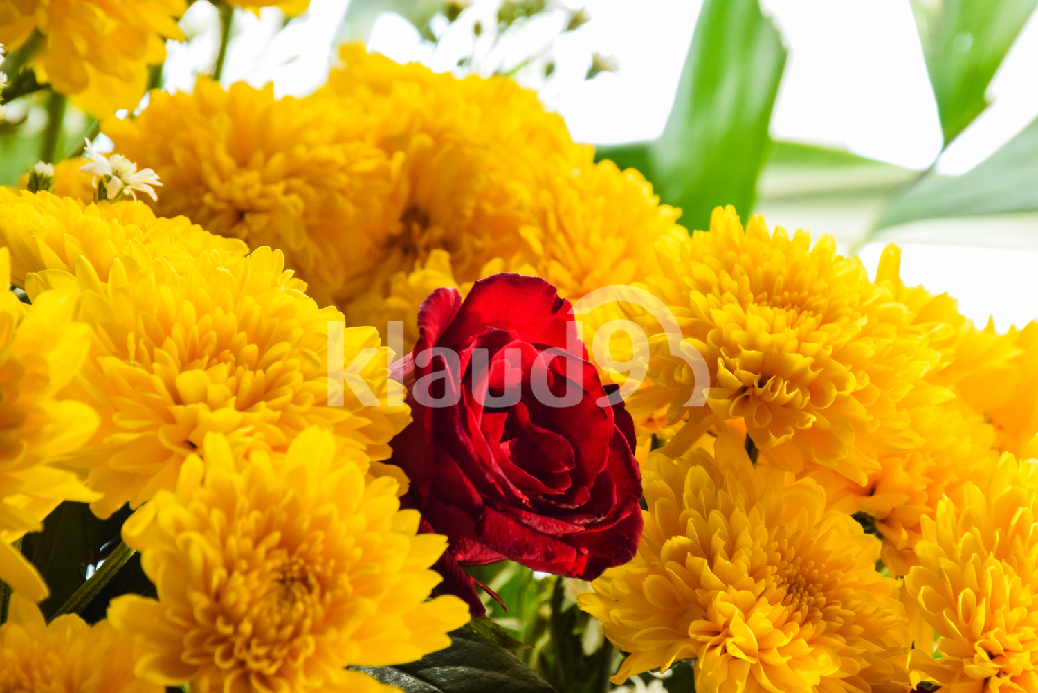 Arrangement of chrysanthemum and roses