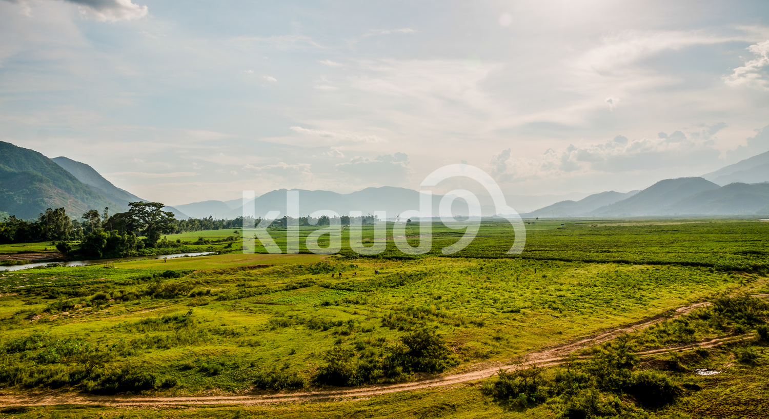 Beautiful rice fields of Quang Nam, Vietnam